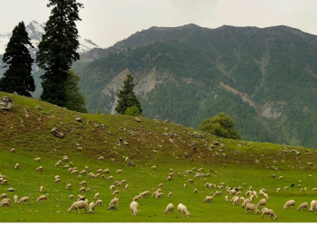 Kashmir: A Travel through heavenly abode