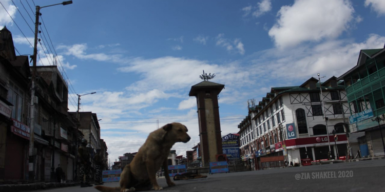 COVID-19: 08 new positive cases reported today, 17677 persons under observation in J&K