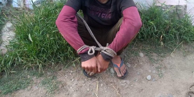 LeT Militant arrested in Shopian