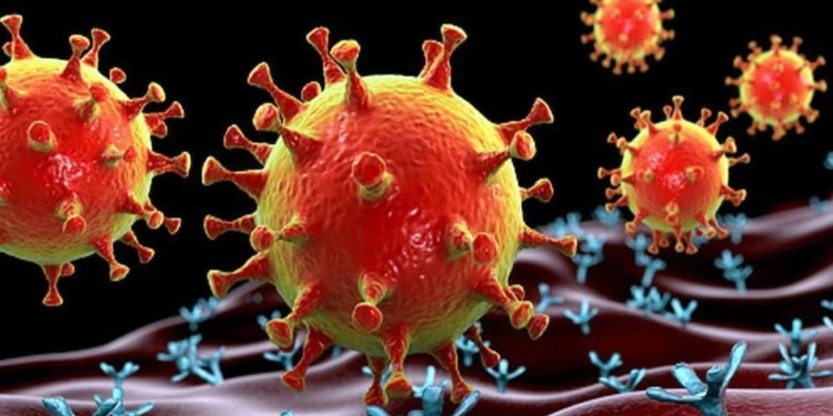 No need to panic over NeoCov virus: DAK
