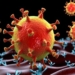 No need to panic over NeoCov virus: DAK