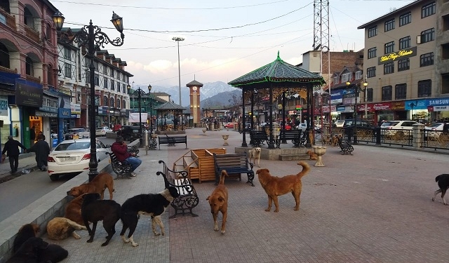 Historic Gantha Ghar Going to Stray Dogs