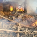 Missile hits school in Ukraine, 60 feared dead
