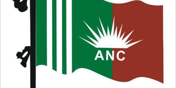 ANC succeeds in bail of YouTuber Faisal Wani