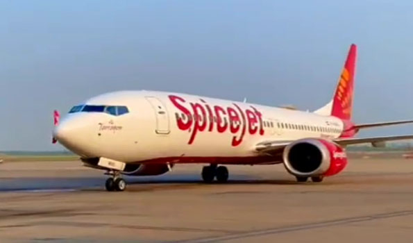SpiceJet shares 40 pc in 2022