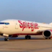 SpiceJet shares 40 pc in 2022