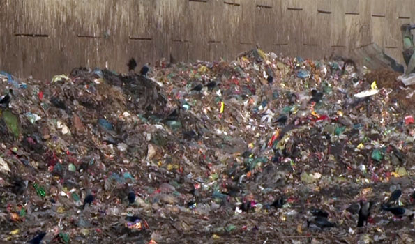 Pakistan has become dumping ground for global hazardous waste