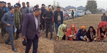 Tourism Dept organises Saffron festival at Pampore