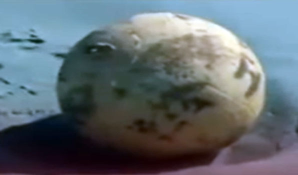 Suspicious ball 4.9 feet in diameter found on Japanese shore – Reports