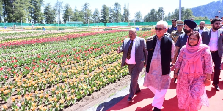 LG Sinha inaugurates Tulip Garden at Sanasar, the first such park for Jammu Division