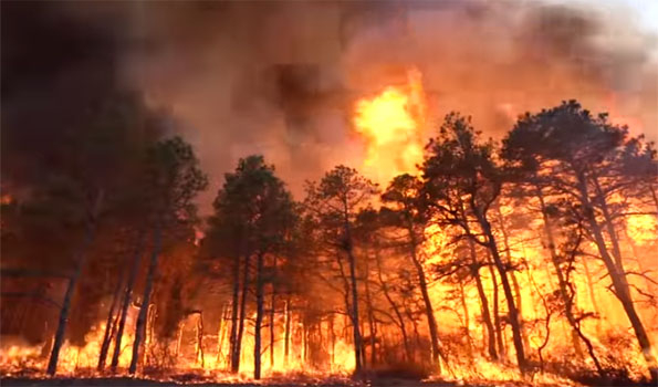 US Firefighters battling 500-Acre wildfire in Manchester township