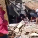 Death toll from roof collapse in Mexico”s Ciudad Madero rises to 9