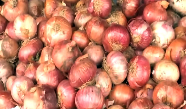 Govt notifies minimum export price of $ 800 per MT on onion export