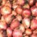 Govt notifies minimum export price of $ 800 per MT on onion export