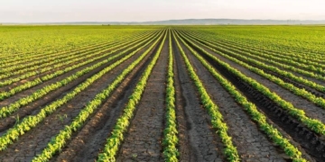 Food security  in Jammu and Kashmir strengthened by recent NFSA Reforms