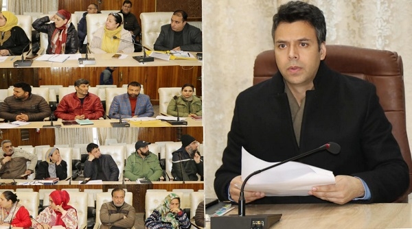 DC Srinagar chairs District Task Force Committee Meet; finalizes action plan for IPPI-2024