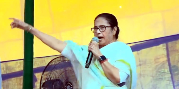 Mamata hits campaign trails and tells people not to fall on CAA and NRC traps