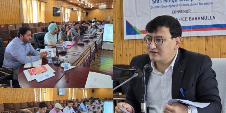 DDC Baramulla reviews progress under ACP 2023-24