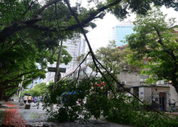 Over 620,000 affected by Typhoon Gaemi in east China province