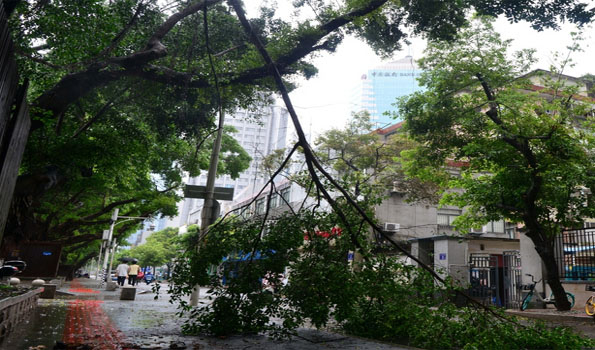 Over 620,000 affected by Typhoon Gaemi in east China province