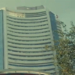 Sensex rebounds over 700 points