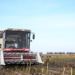 Small Chinese city reaps global success with sunflowers