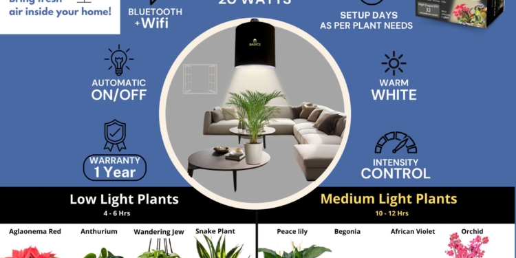 BASICS: Plant Light + Indoor Plants = Healthier Air & Healthier You