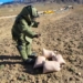 Indian Army Defuses UXO, Six Unexploded Bombs at Kurbathang